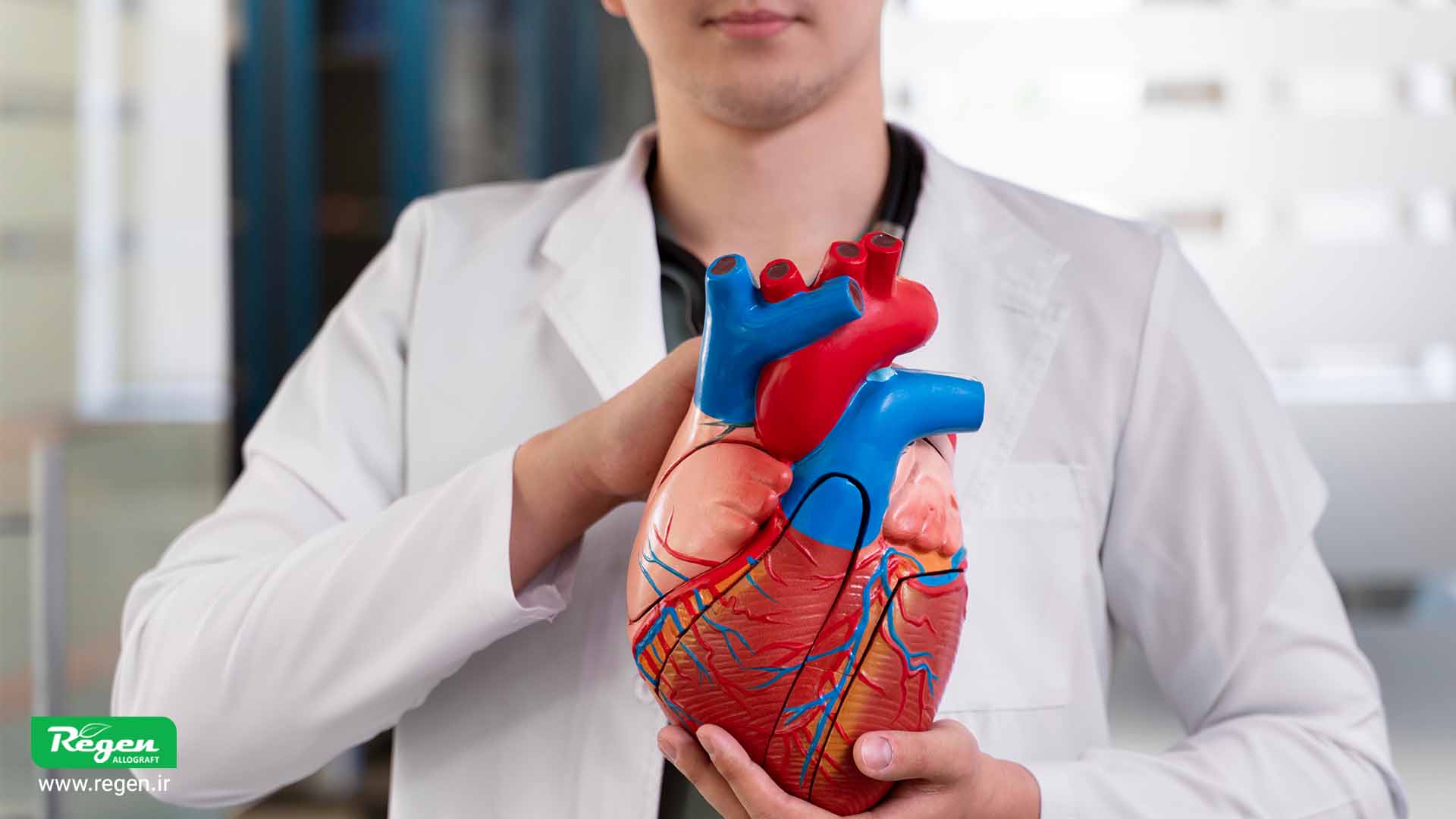 فرآوری بافت آلوگرافت ایرانی