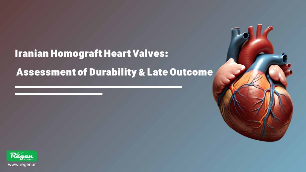 Iranian homograft heart valves: assessment of durability and late outcome