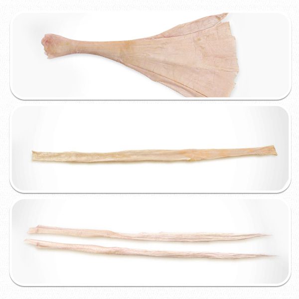 لوگرافت تاندون و منیسک، تهیه شده از بافت تاندون انسانی و مناسب برای ترمیم و جایگزینی تاندون‌های آسیب‌دیده است.