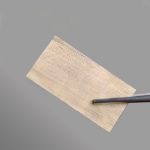 ممبران فاشیالاتا - تصویر 3