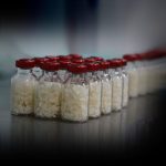 Particulated Bone - Image 5