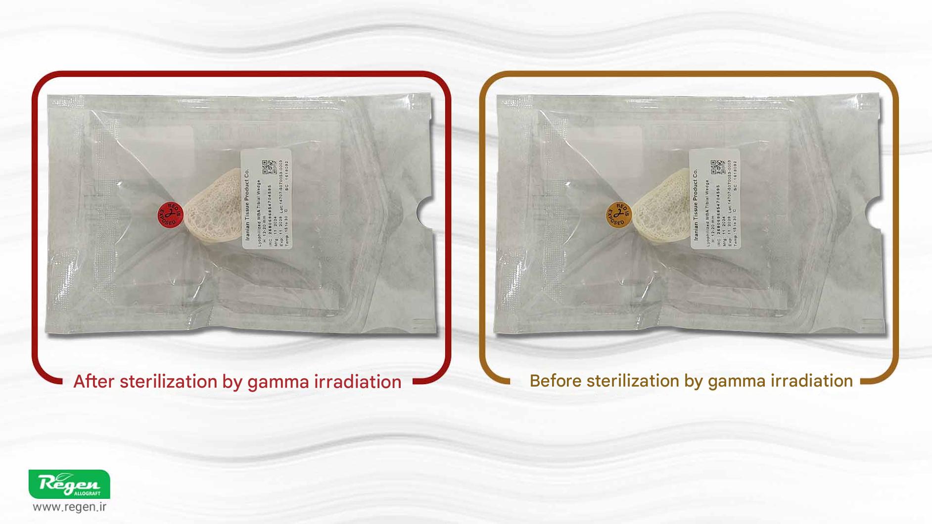 محصول-استخوان-قبل-و-بعد-از-پوتودهی-گاما