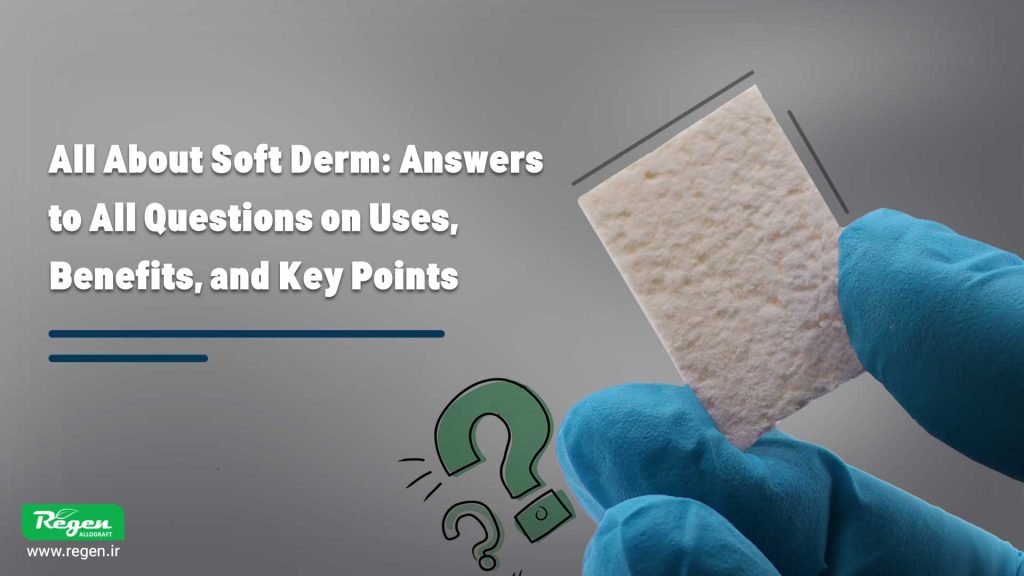 همه چیز راجع به سافت درم