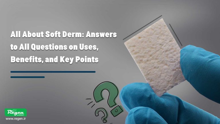 همه چیز راجع به سافت درم