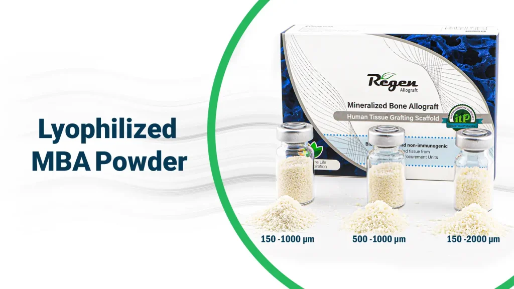 پودر استخوان دندانپزشکی