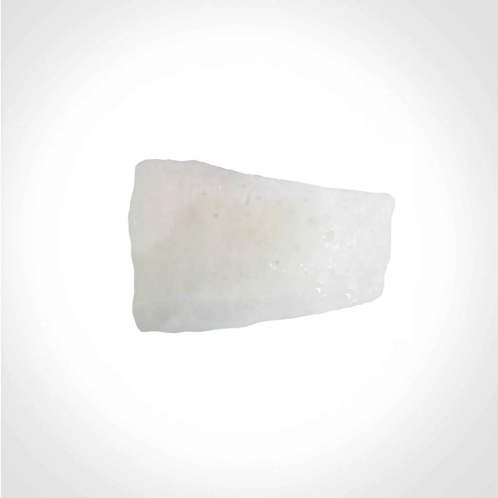 بافت آلوژنیک سپتوم - غضروف دندهای و تیغه غضروفی بینی برای جراحیهای ترمیمی و بازسازی