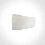 بافت آلوژنیک سپتوم - غضروف دنده‌ای و تیغه غضروفی بینی برای جراحی‌های ترمیمی و بازسازی