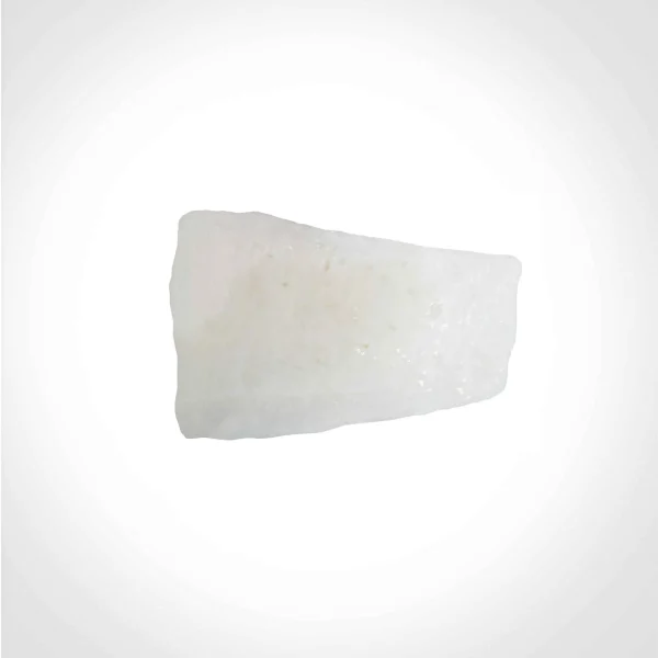 بافت آلوژنیک سپتوم - غضروف دنده‌ای و تیغه غضروفی بینی برای جراحی‌های ترمیمی و بازسازی