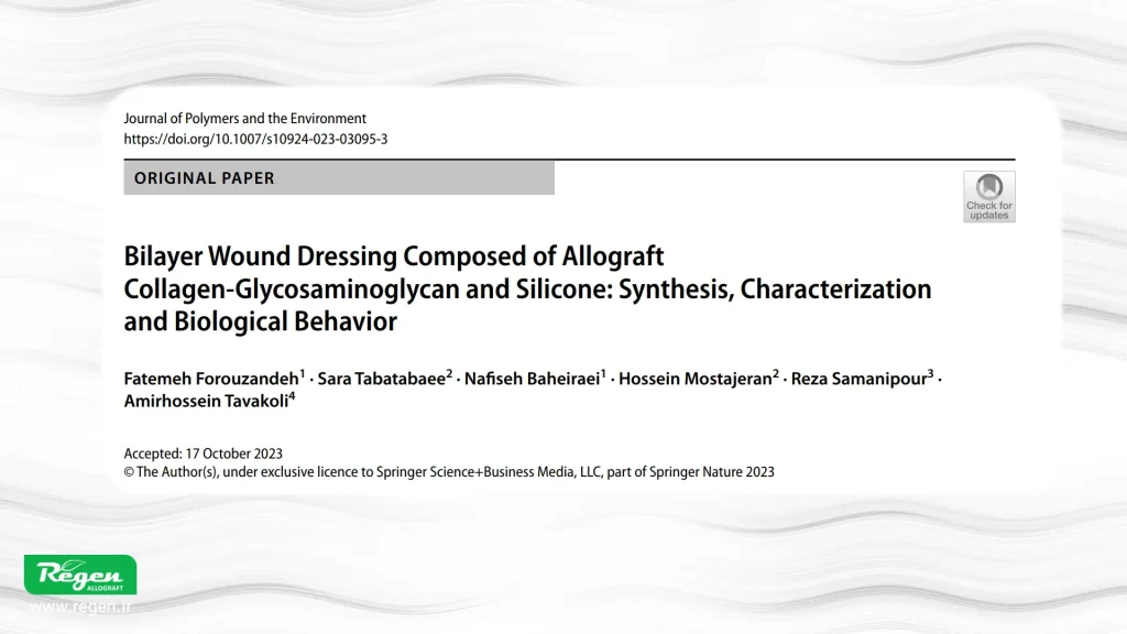 Bilayer wound dressing showing porous collagen-glycosaminoglycan scaffold bonded to a silicone film using gelatin bio-glue.