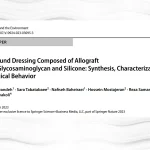 Bilayer wound dressing showing porous collagen-glycosaminoglycan scaffold bonded to a silicone film using gelatin bio-glue.