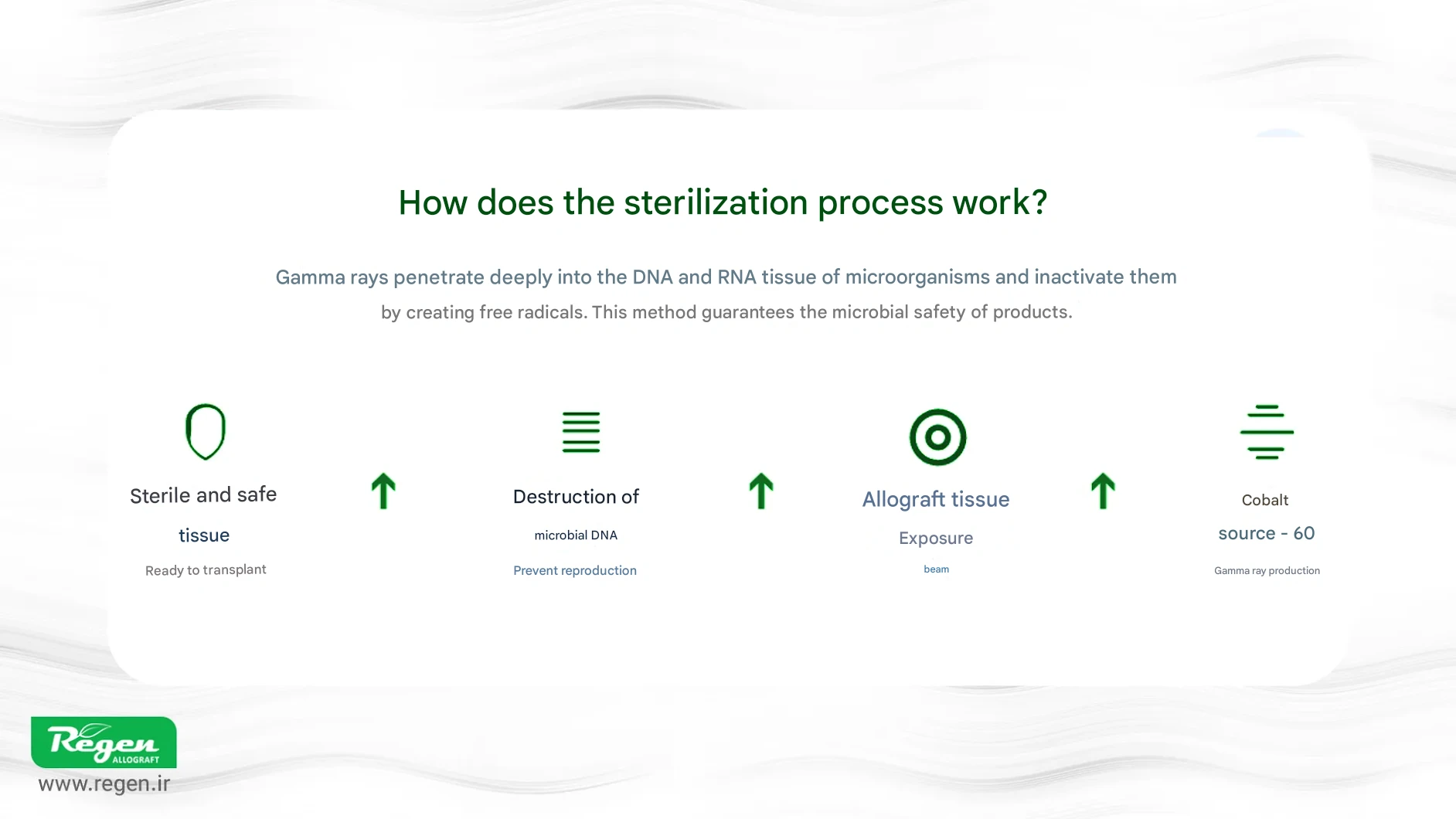 ممبران-کلاژن