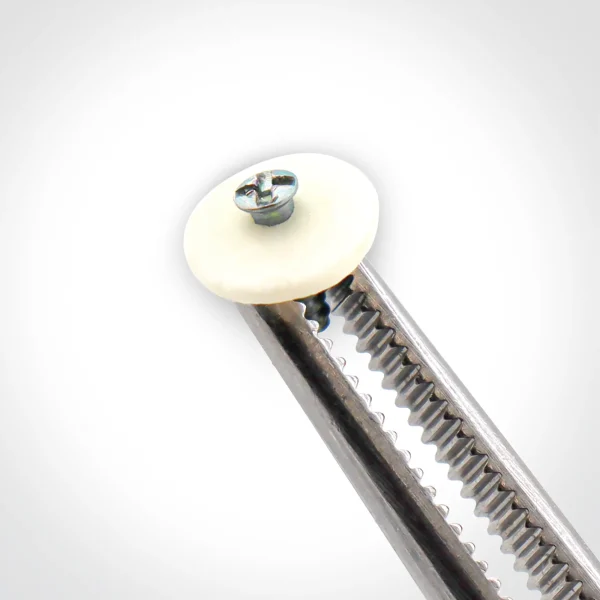 کورتیکال دیسک - تصویر 2