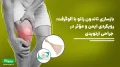 پارگی تاندون کشکک (Patellar Tendon Rupture) یکی از آسیب‌های نسبتاً نادر اما به‌شدت ازکارافتاده کننده سیستم اکستانسور زانو محسوب می‌شود؛ این تاندون نقشی اساسی در انتقال نیروی عضله چهارسر ران به کاسه‌زانو (پاتلا) و سپس به تیبیا دارد و هنگام اختلال در آن، توانایی صاف کردن زانو و تحمل وزن به‌طور چشمگیری کاهش می‌یابد.