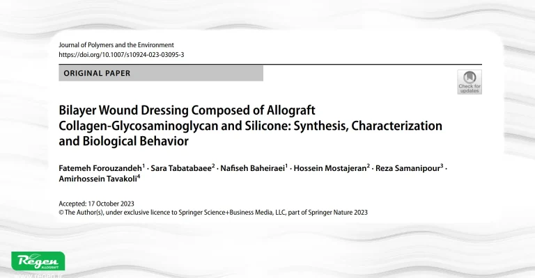 Bilayer wound dressing showing porous collagen-glycosaminoglycan scaffold bonded to a silicone film using gelatin bio-glue.