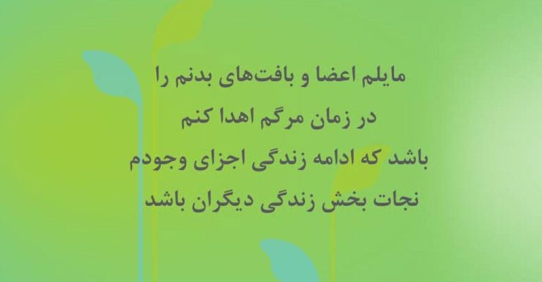 Untitled-4
