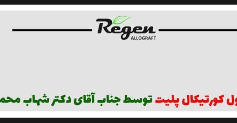 shahab-mohammadi-1024x265