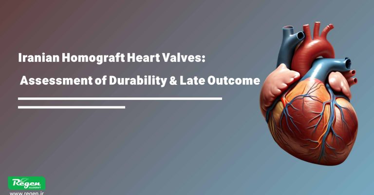 Iranian homograft heart valves: assessment of durability and late outcome